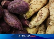 Apakah Penderita Diabetes Boleh Makan Ubi Jalar? Ini Ulasannya…