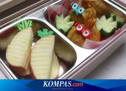 Bekal Apa yang Cocok untuk Sekolah? Berikut Rekomendasi Ahli Gizi…