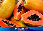 Apakah Boleh Makan Buah Pepaya Saat Perut Kosong? Ini Penjelasannya…