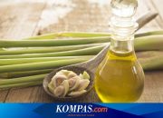 10 Manfaat Minyak Esensial Serai, Bisa Hilangkan Bau dan Stres