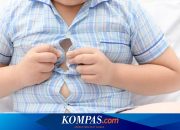 Apa Tanda-tanda Anak Obesitas? Ini Ulasannya…