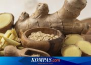 Bagaimana Cara Mengolah Jahe untuk Asam Urat? Ini Penjelasannya…