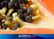 Apa Manfaat Makan Buah Pepaya di Malam Hari? Berikut Daftarnya…