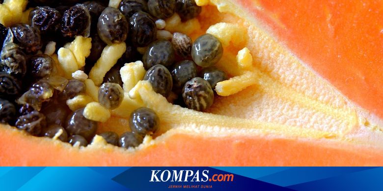 Apa Manfaat Makan Buah Pepaya di Malam Hari? Berikut Daftarnya…