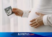 Hamil Trimester 3 Masuk Bulan ke Berapa? Berikut Penjelasannya…