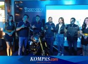 TVS Ronin Nimbus Resmi Meluncur, Harga Promo Rp 41 Juta