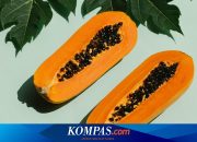 Makan Pepaya Setiap Hari Apakah Bagus? Berikut Penjelasannya…