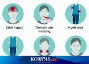 Mpox Tak Akan Berakibat Pandemi Global seperti Covid-19