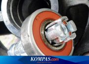 Dampak Membiarkan Bearing Motor Rusak, Merusak Komponen Lain