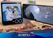 Fitur Galaxy AI di Samsung Z Fold-Flip 6 Makin Diminati di Indonesia, Ini Buktinya