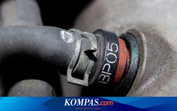 Penyebab Oli Mesin Mobil Cepat Habis, padahal Tak Ada Kebocoran