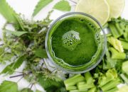 Nourish Your Body: Crafting Smoothies for Ultimate Wellness