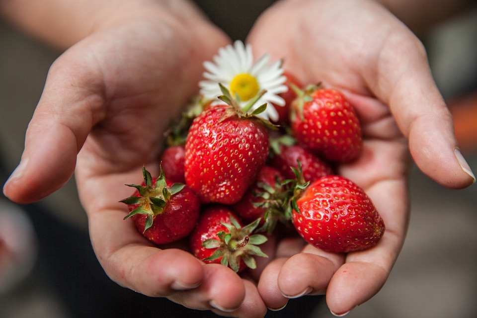 The Science Behind Nutrient-Dense Foods: Why They Matter