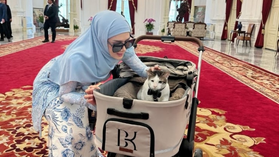 Bobby Kertanegara Kucing Prabowo Tiba di Istana, Harga Stroller Bikin Melongo