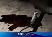 Bahaya Membiarkan Oli Motor Menetes Terlalu Lama