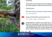 Belajar dari Kejadian Mobil Tertimpa Pohon Tumbang di Lembang