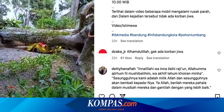 Belajar dari Kejadian Mobil Tertimpa Pohon Tumbang di Lembang