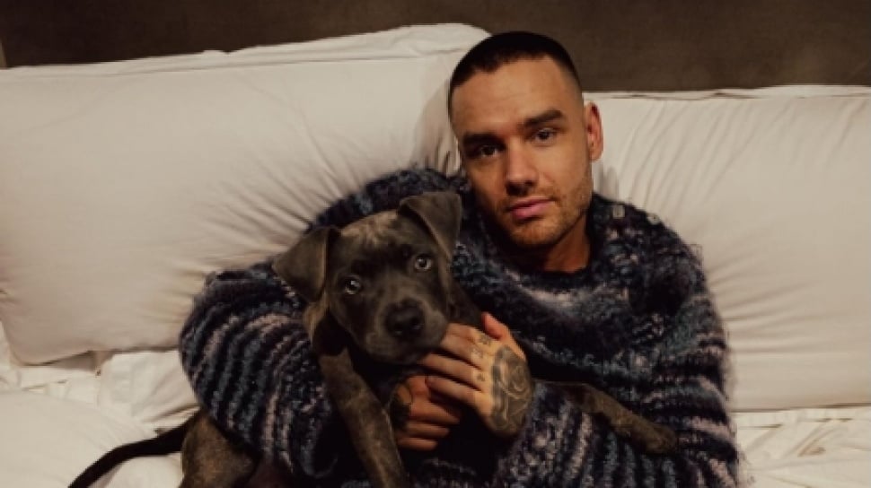 Sebelum Tewas Terjatuh dari Balkon, Liam Payne Disebut Teror Mantan Tunangan