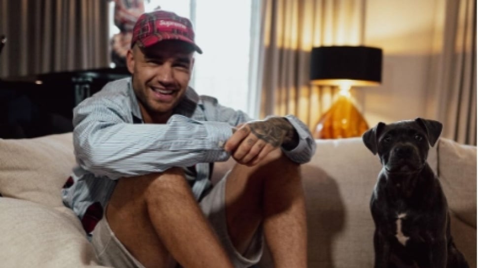 Debut di Usia 16 Tahun, Perjalanan Karier Liam Payne dari One Direction hingga Solo