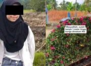 Kebaikan Gadis Penjual Gorengan Nia Kurnia Sari sebelum Meninggal Terungkap: Real Bidadari Surga