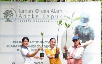 Peduli Lingkungan, Marcella Zalianty dan Jolene Marie Ikut Aksi Tanam 100 Mangrove