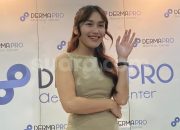 Ayu Ting Ting Tuai Pujian, Borong Produk UMKM yang Jualan Live di TikTok