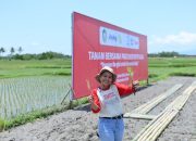 Telusur Pangan Lokal Hingga Ikan Lemuru Banyuwangi Setara Salmon Cegah Anemia dan Stunting