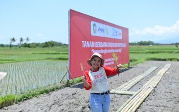 Telusur Pangan Lokal Hingga Ikan Lemuru Banyuwangi Setara Salmon Cegah Anemia dan Stunting