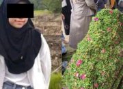 Meresahkan, Makam Nia Kurnia Sari Gadis Penjual Gorengan Diduga Jadi Ladang Syirik