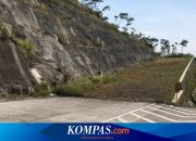 Cara Pakai Jalur Darurat di Jalan Tol, Manfaatkan Saat Rem Blong