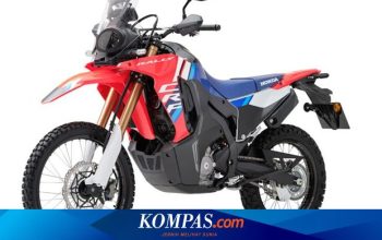 Sentuhan Baru pada Honda CRF300L dan CRF300 Rally