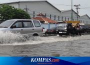 Cara Mudah Hindari Kerusakan kalau Mobil Lewat Banjir Rob