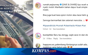 Kentang Bisa Bikin Efek Daun Talas di Kaca Mobil