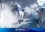 Kendaraan Listrik Bukan Satu-satunya Solusi untuk Dekarbonisasi