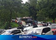 Posisi Tuas Transmisi Mobil Matik yang Benar Saat Terjebak Macet di Tanjakan