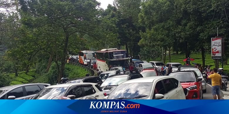 Posisi Tuas Transmisi Mobil Matik yang Benar Saat Terjebak Macet di Tanjakan